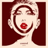 Counter cover art