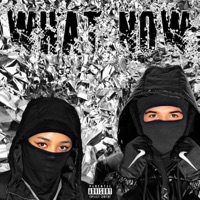 What Now (feat. Tre$evJ, MarvinBeats & Laudiano) - Single - 100PERCENTLANNA