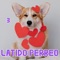 No Quiero Novio - Jenn Morel, Mariah Angeliq & Elisama lyrics