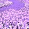 Sospeso - Vishu Flama lyrics