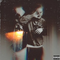 Another One (feat. Johnni Silveira) - Single - Willow's Grave