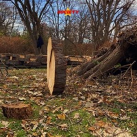 Coming To America - Single - 97otis