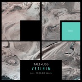 Vetenim (Teklix Remix) artwork