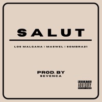 Salut - Single - Los Malagana, Maswel & Sombra21