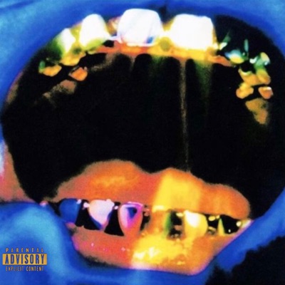 Too Cold (feat. MMBT.DK) - Single