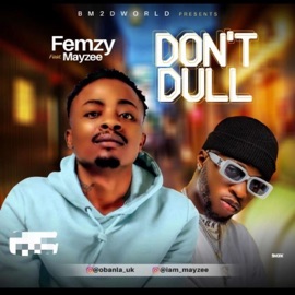 Don't Dull (feat. MAYZEE) Femzy