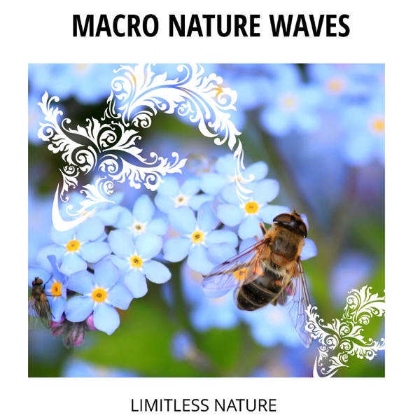 Macro Nature Waves - Limitless Nature