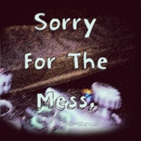 Sorry for the Mess - Single - Voidfiller