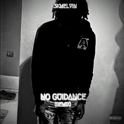 No Guidance (Remix) - Single