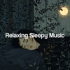 Relaxing Sleepy Music