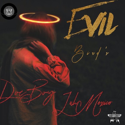 Evil Birds (feat. DoeBoy) - Single