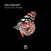 Give You More (Extended Mix) artwork