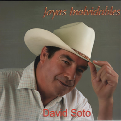 Joyas Inolvidables - David Soto Cover Art
