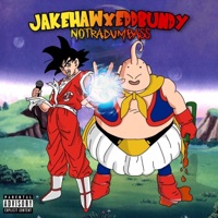 Notradumbass - Jake Haw