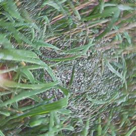 Four (Slowed) Ivanko & boiscry