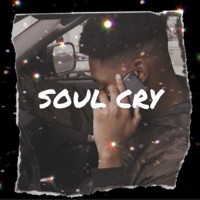 Soul Cry - Single - 2nvale