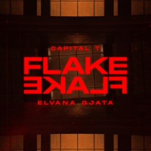 Flake