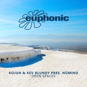 Open Spaces - Single
