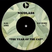 The Year of the Cat (Extended Mix) artwork