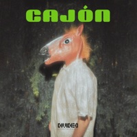 CaJon (feat. Dekka) - Single - Divided