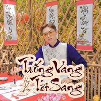 Trống Vang Tết Sang (Hauzor x HHD Remix) [feat. HOA H?NG D?I MUSIC] - Single - Huy Di?c