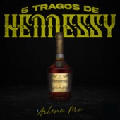 6 Tragos De Hennessy artwork