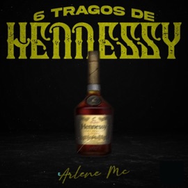 6 Tragos De Hennessy Arlene MC
