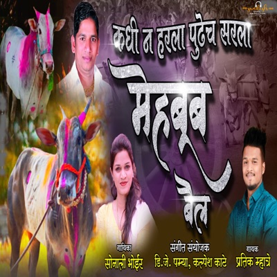 KADHIN NA HARALA PUDHECH SARLA MEHBOOB BAIL - Single