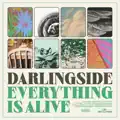 Darlingside