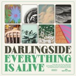 Darlingside - Green Light