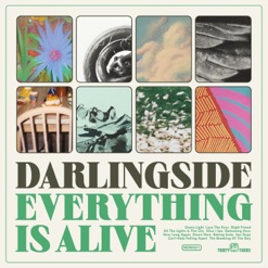 EVERYTHING IS ALIVE cover art