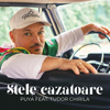 Stele Cazatoare (feat. Tudor Chirila) - Puya