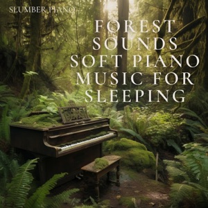 Forest Sounds: Soft Piano Music for Sleeping