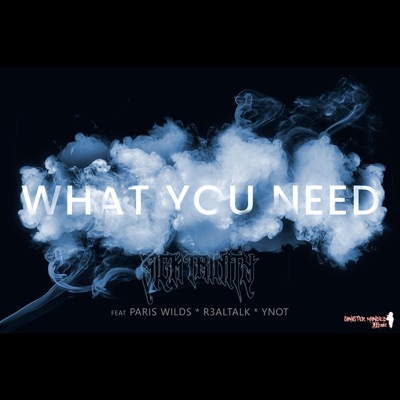 WHAT YOU NEED (feat. EZ SIXOSIX, PARIS WILDS, R3ALTALK & YNOT) - Single