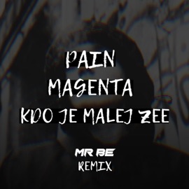 Kdo Je Malej Zee (Mr BE Remix) Pain & Magenta