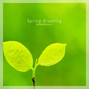 Spring Greeting - Single