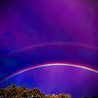 Company (feat. Dubich) - Single - Derron