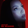 In Bloom