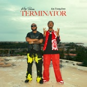 Terminator (feat. Young Jonn) artwork