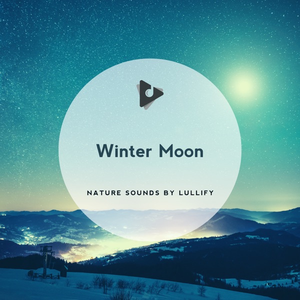 Winter Moon