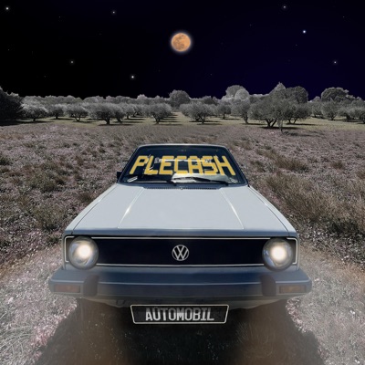 PLECASH (feat. W.lad) - Single