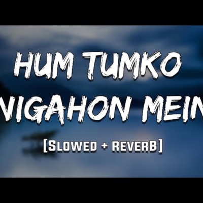 Naimul Alam Jamil - Hum Tumko Nigahon Mein  hum tumko nigahon (slowed and reverb  lofi songs)