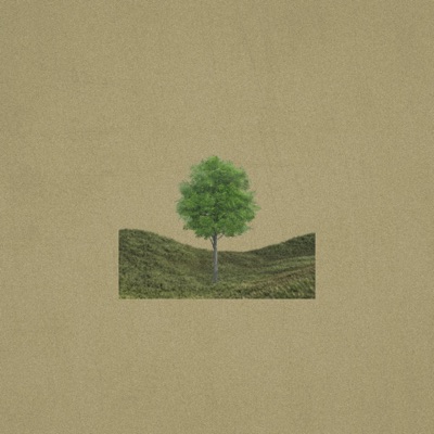 God of God's - Single