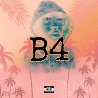 B4 Spring Ends - YL Platinum