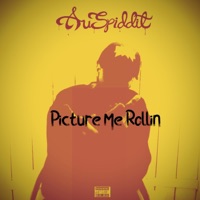 Picture Me Rollin - Single - Auspiddit