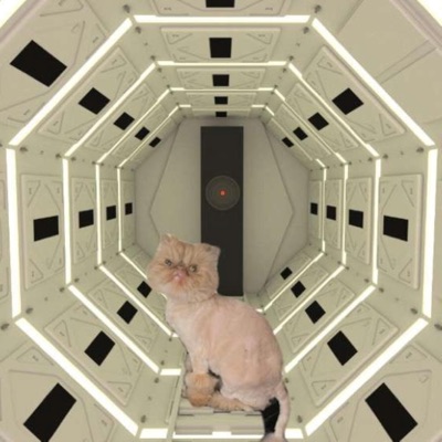 Sammich or Another Chibbbp - Single