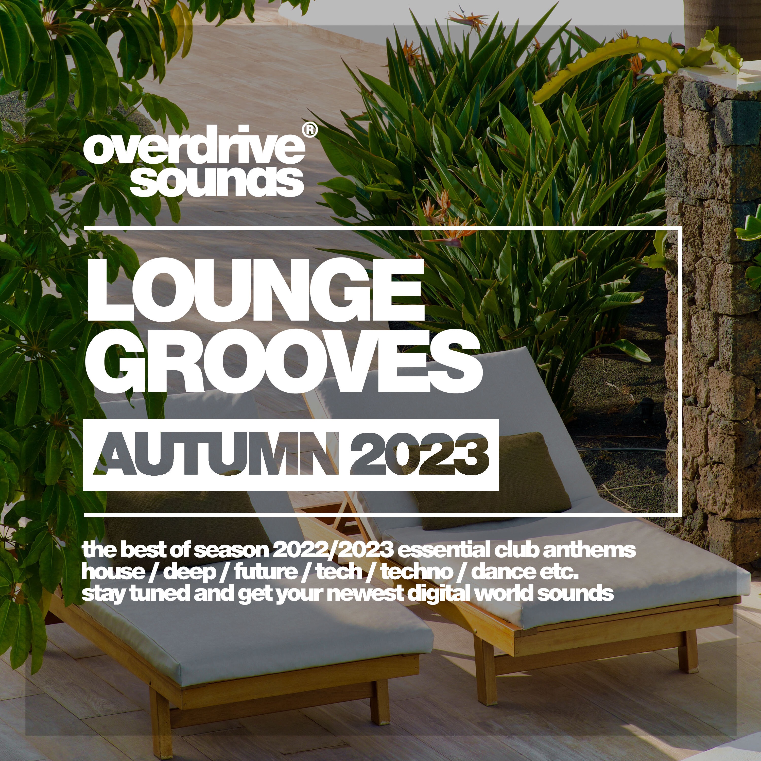 Lounge Grooves 2023