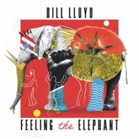 Feeling The Elephant
