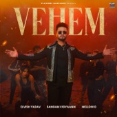 Vehem (feat. Elvish Yadav) artwork