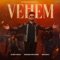 Vehem (feat. Elvish Yadav) artwork